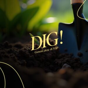 Dig! - 11:00 - CD