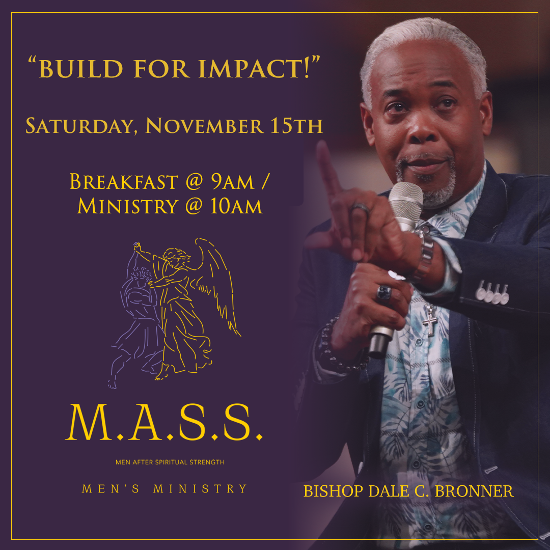 Saturday, November 15th (1) Saturday, November 15th (1)