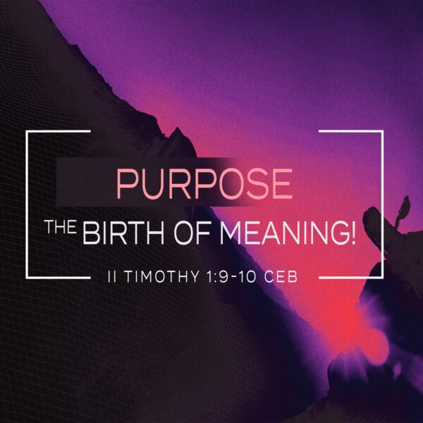 Purpose - The Birth of Meaning - CD